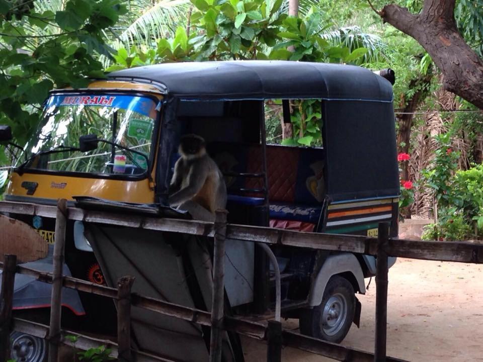 Murali Guesthouse ฮัมปี ภายนอก รูปภาพ